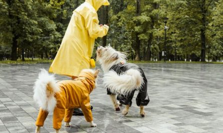 9 Spiritual Meanings of Dreaming of a Dog Biting Your Hand