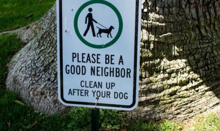 9 Spiritual Meanings of Dreaming of Discarding Feces