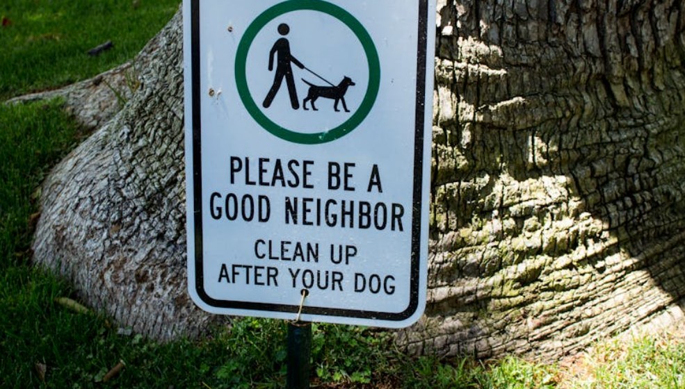 9 Spiritual Meanings of Dreaming of Discarding Feces