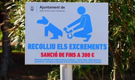 9 Spiritual Meanings of Dreaming About a Place to Defecate