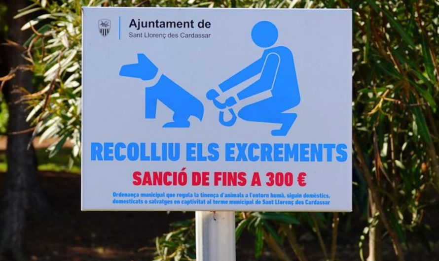 9 Spiritual Meanings of Dreaming About a Place to Defecate