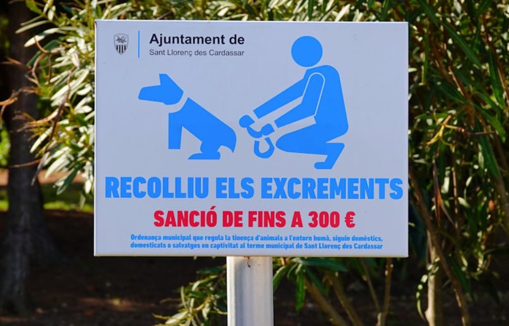 9 Spiritual Meanings of Dreaming About a Place to Defecate