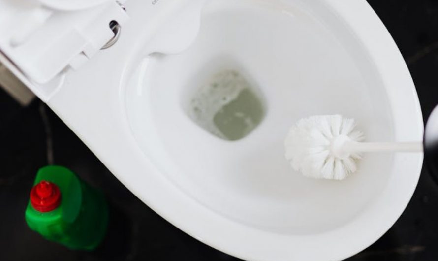 9 Spiritual Meanings of Dreaming About Cleaning Up Fecal Pollution