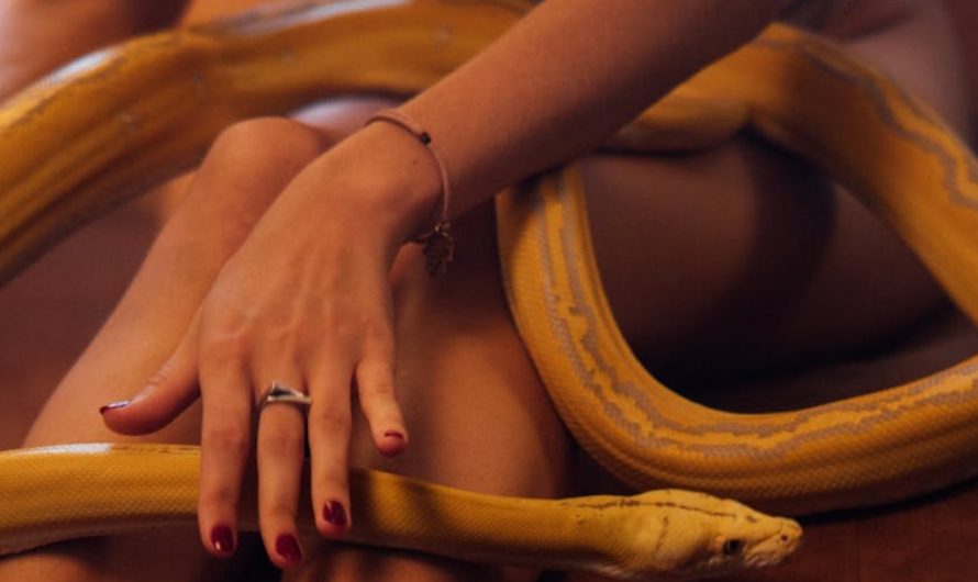 9 Spiritual Meanings of Dreaming of Being Bitten on the Arm by a Snake