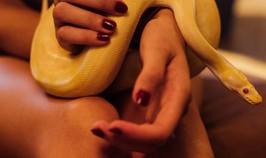9 Spiritual Meanings of Dreaming of a Snake Coiling Around Your Leg