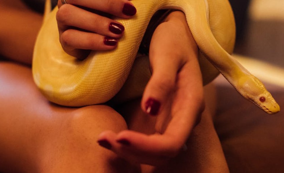 9 Spiritual Meanings of Dreaming of a Snake Coiling Around Your Leg
