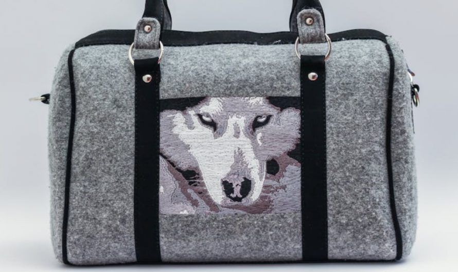 9 Spiritual Meanings of Dreaming of Stealing a Bag
