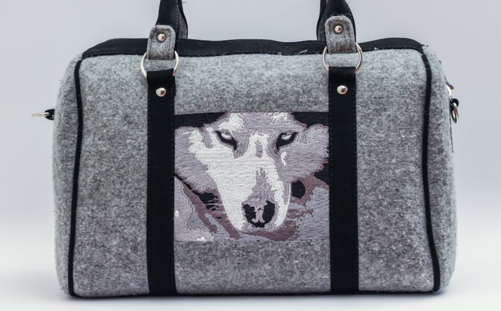9 Spiritual Meanings of Dreaming of Stealing a Bag