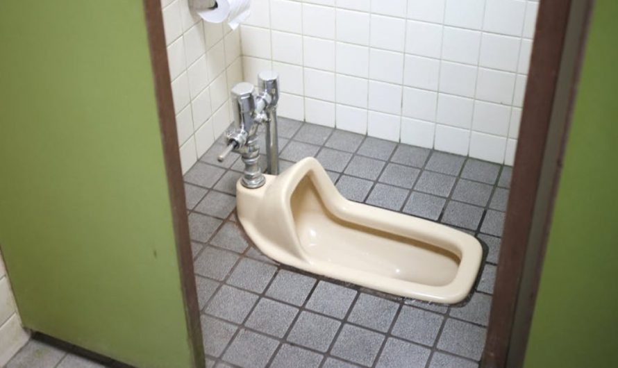 9 Symbolic Meanings of Dreaming About Flushing the Toilet
