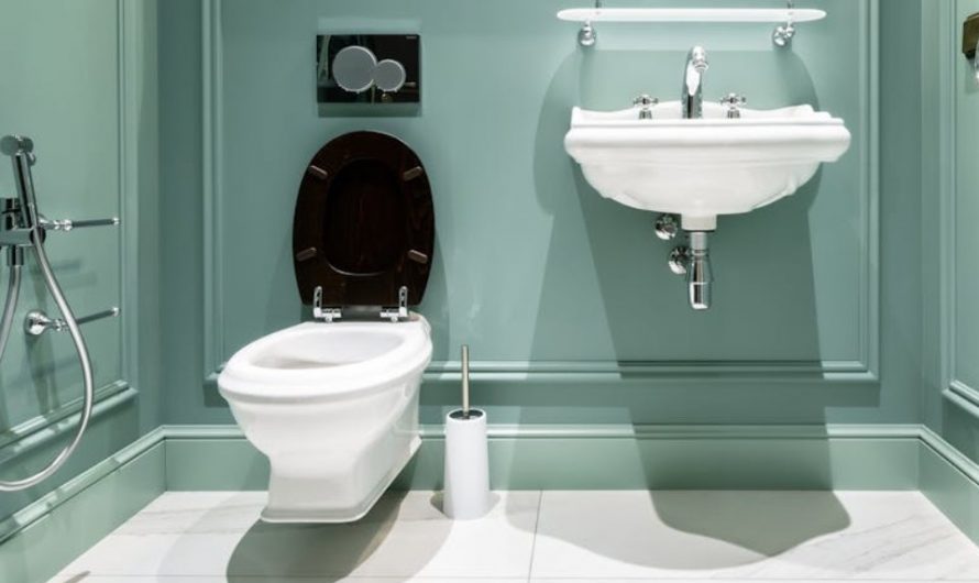 9 Symbolic Meanings of Dreaming of an Overflowing Toilet