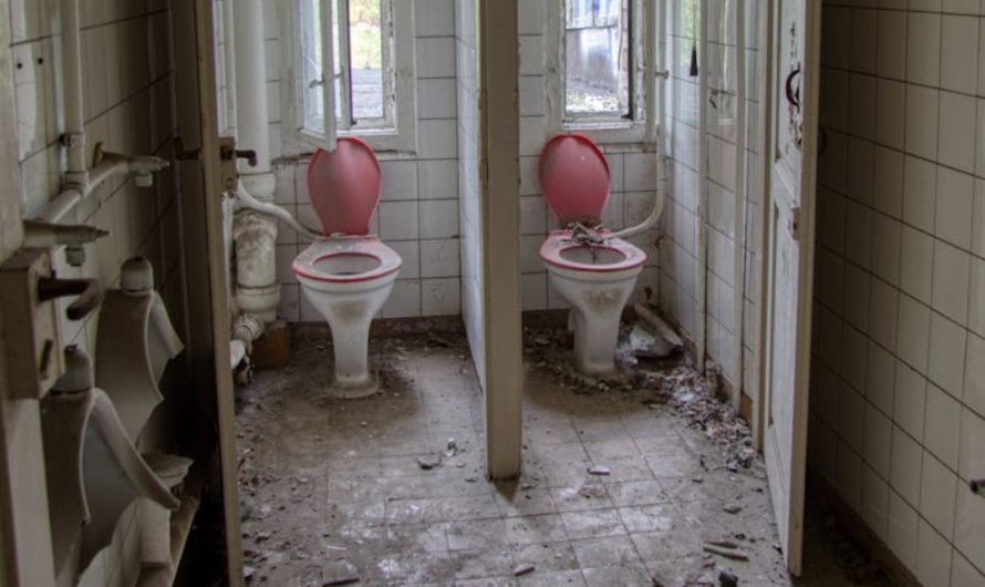 9 Symbolic Meanings of Dreaming of a Clogged Toilet