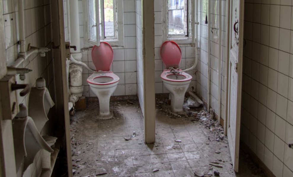 9 Symbolic Meanings of Dreaming of a Clogged Toilet