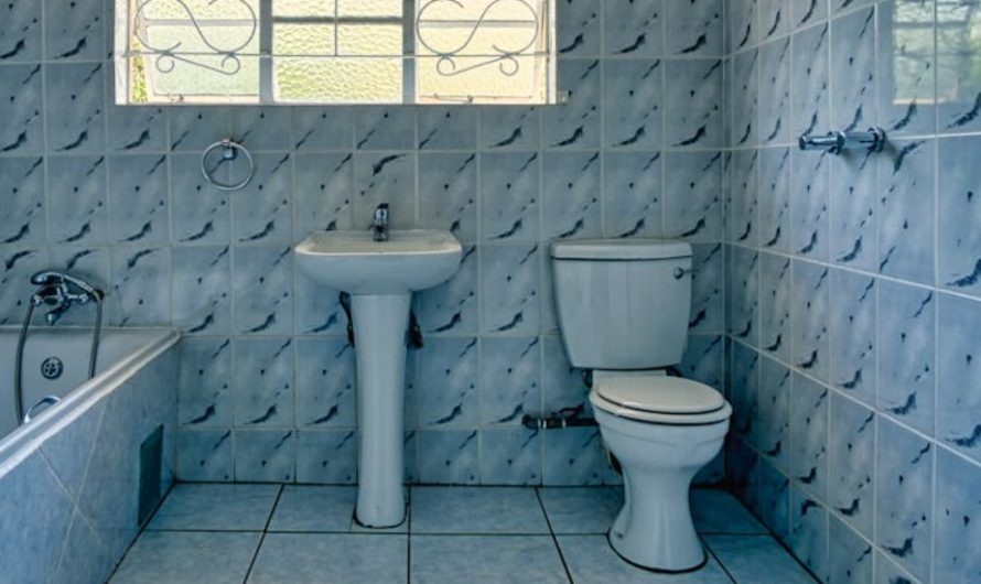 9 Symbolic Meanings of Dreaming of Falling into a Toilet
