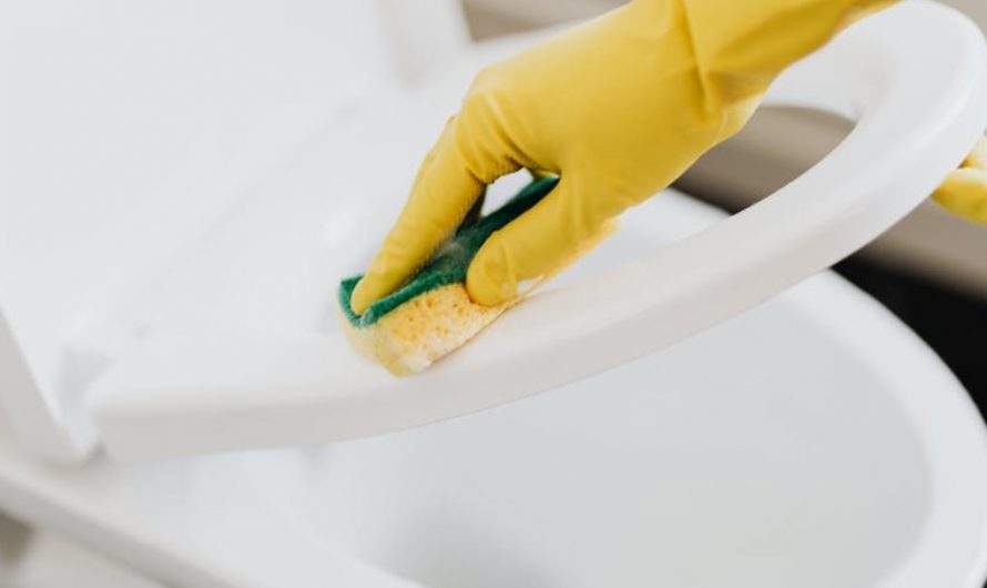 9 Symbolic Meanings of Dreaming of Feces Overflowing from the Toilet
