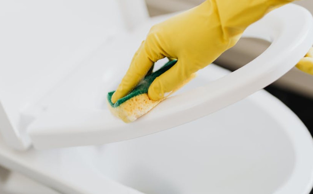 9 Symbolic Meanings of Dreaming of Feces Overflowing from the Toilet