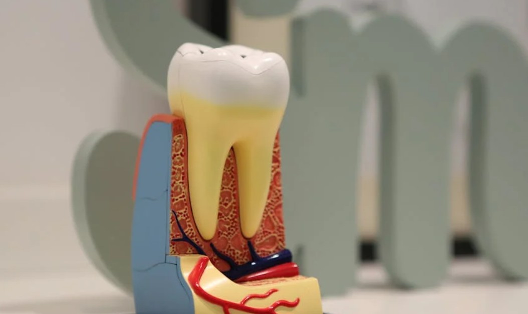 9 interpretations of dreaming about teeth falling out