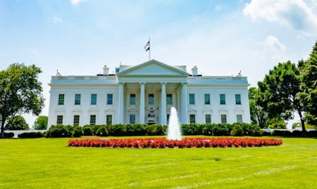 9 Interpretations of Dreaming of a President's Visit