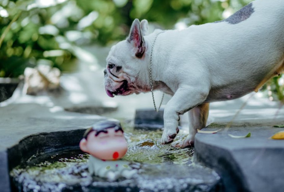 9 Spiritual Meanings of Dreaming of Being Bitten by a Dog