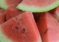 Dreaming About Watermelons