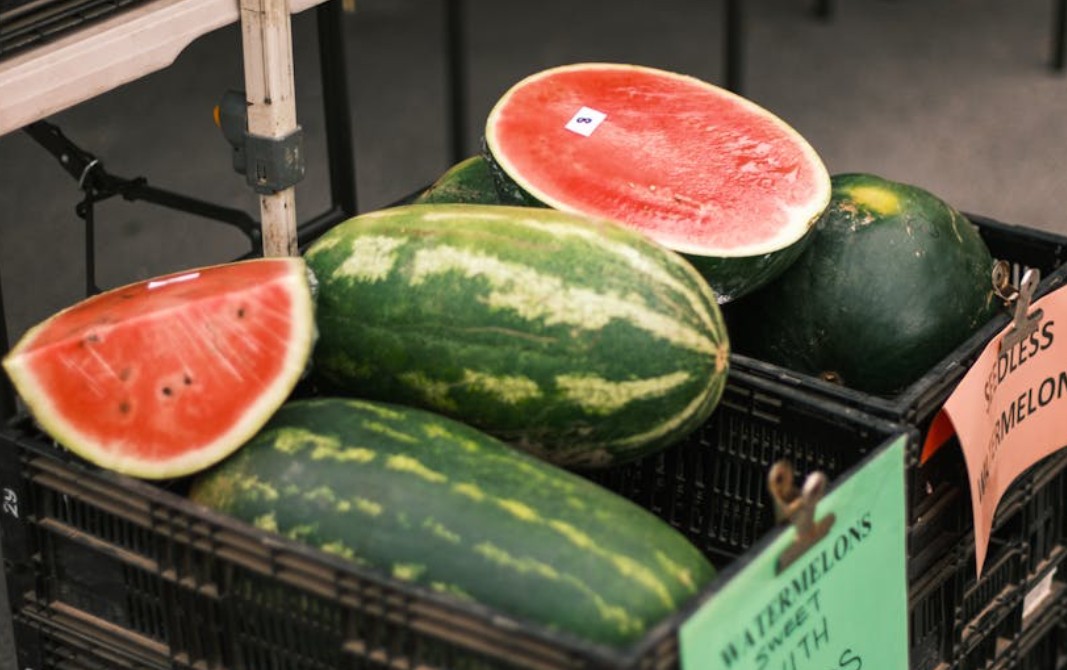 Dreaming of a Broken Watermelon