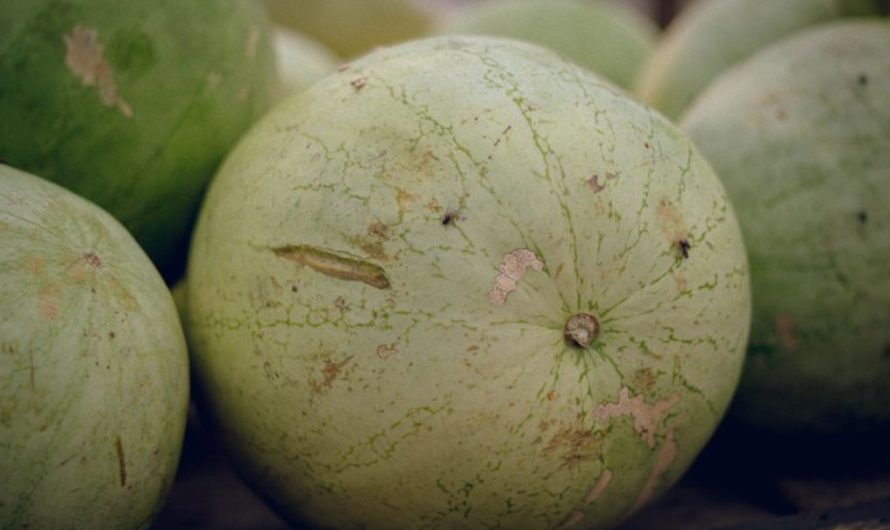 9 Spiritual Meanings of Dreaming of Picking Watermelons