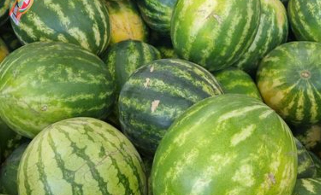 Dreaming of a Damaged Watermelon