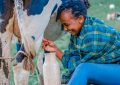 9 Spiritual Meanings of Dreaming about Receiving Milk