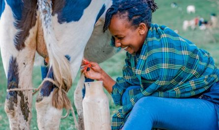 9 Spiritual Meanings of Dreaming about Receiving Milk