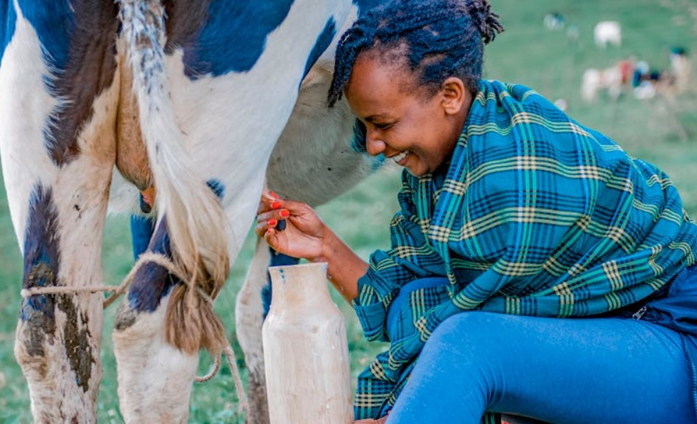 9 Spiritual Meanings of Dreaming about Receiving Milk