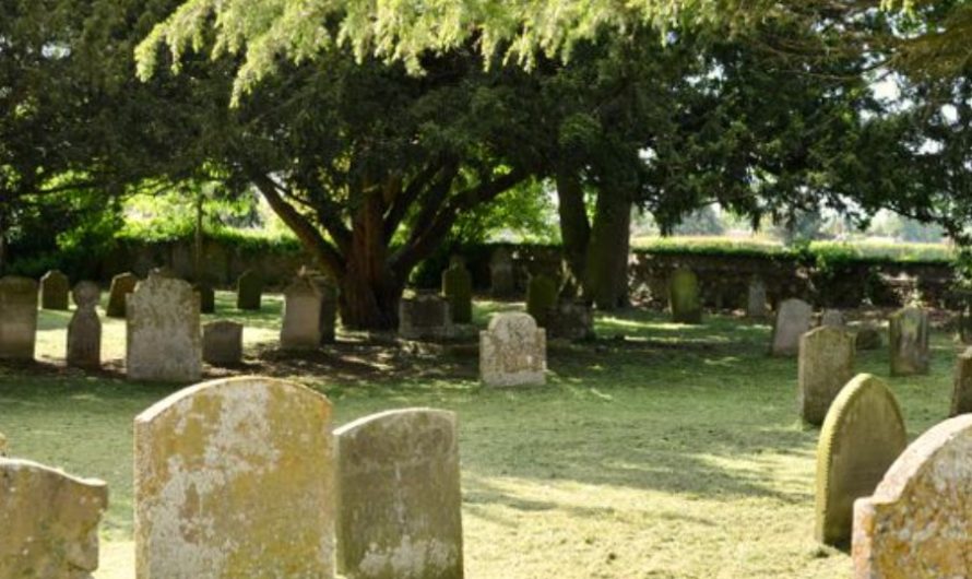 9 Spiritual Meanings of Dreaming About Ancestors Bestowing Money