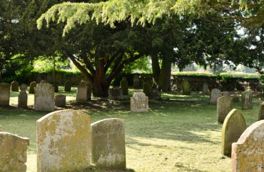 9 Spiritual Meanings of Dreaming About Ancestors Bestowing Money